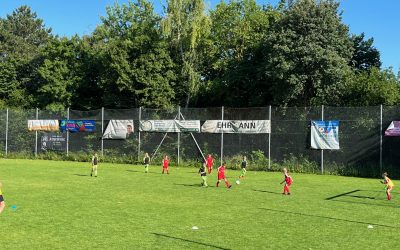F-Jugend – Heimspiel gegen Mörlheim